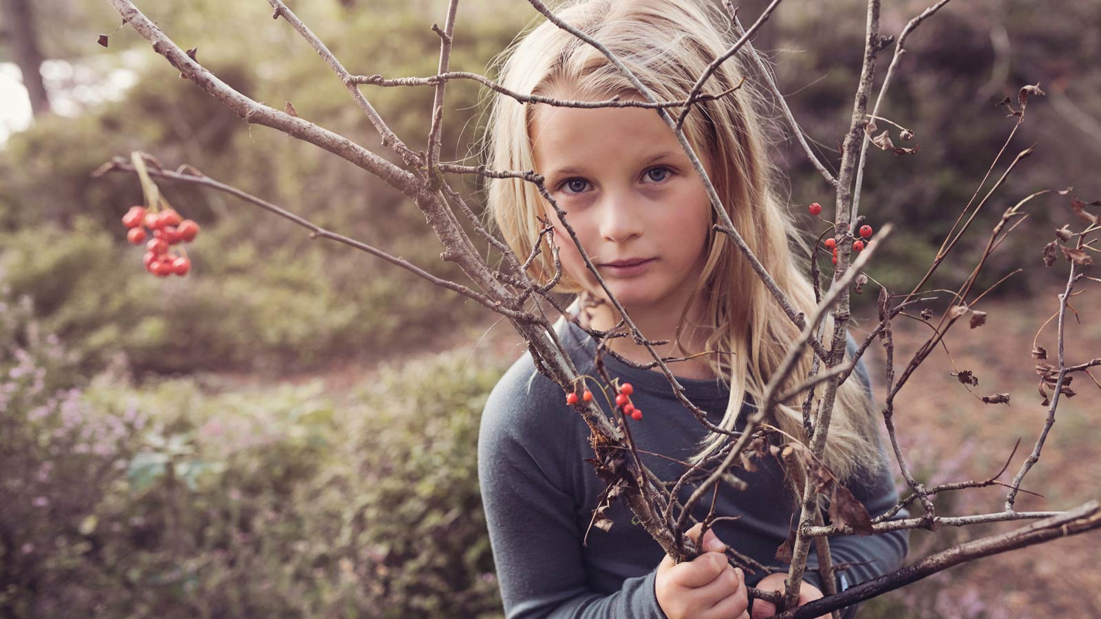 Superlove merino ethical wool
