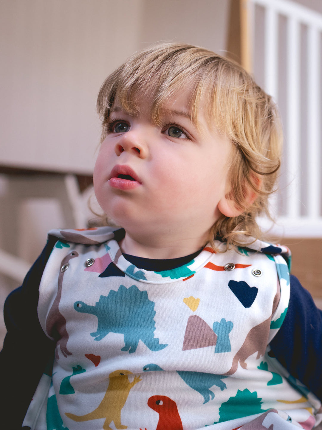 Merino baby sleeping bag dinosaur t-rex adjustable size #colour_dinosaurs