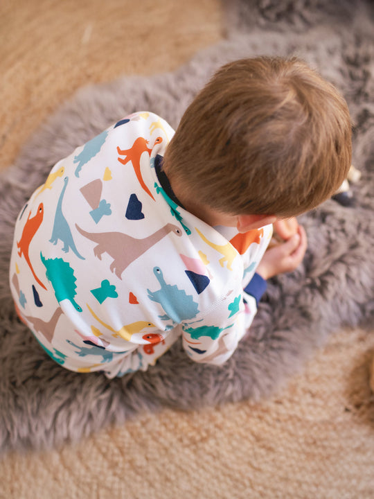 organic cotton kids pyjama PJ from above #colour_dinosaurs