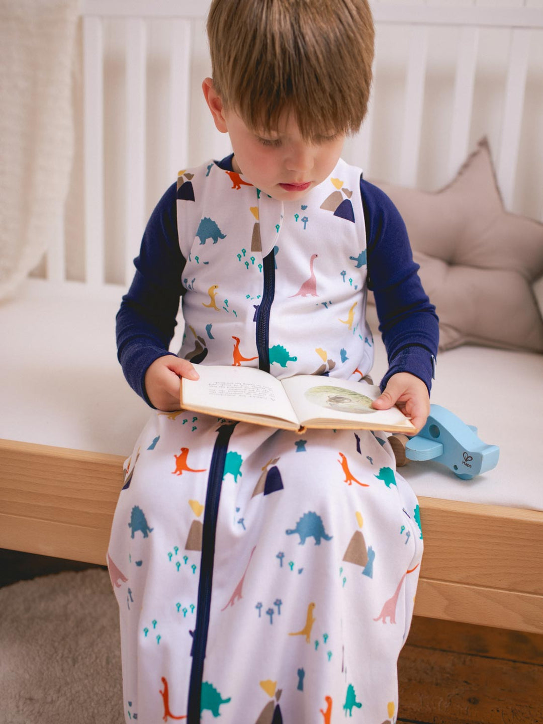 Merino toddler sleeping bag dinosaur reading #colour_dinosaurs